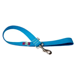 Pop Fashion Matching Traffic Leash