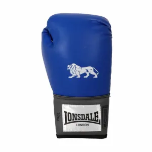 Pro Training Gloves  (14Oz)