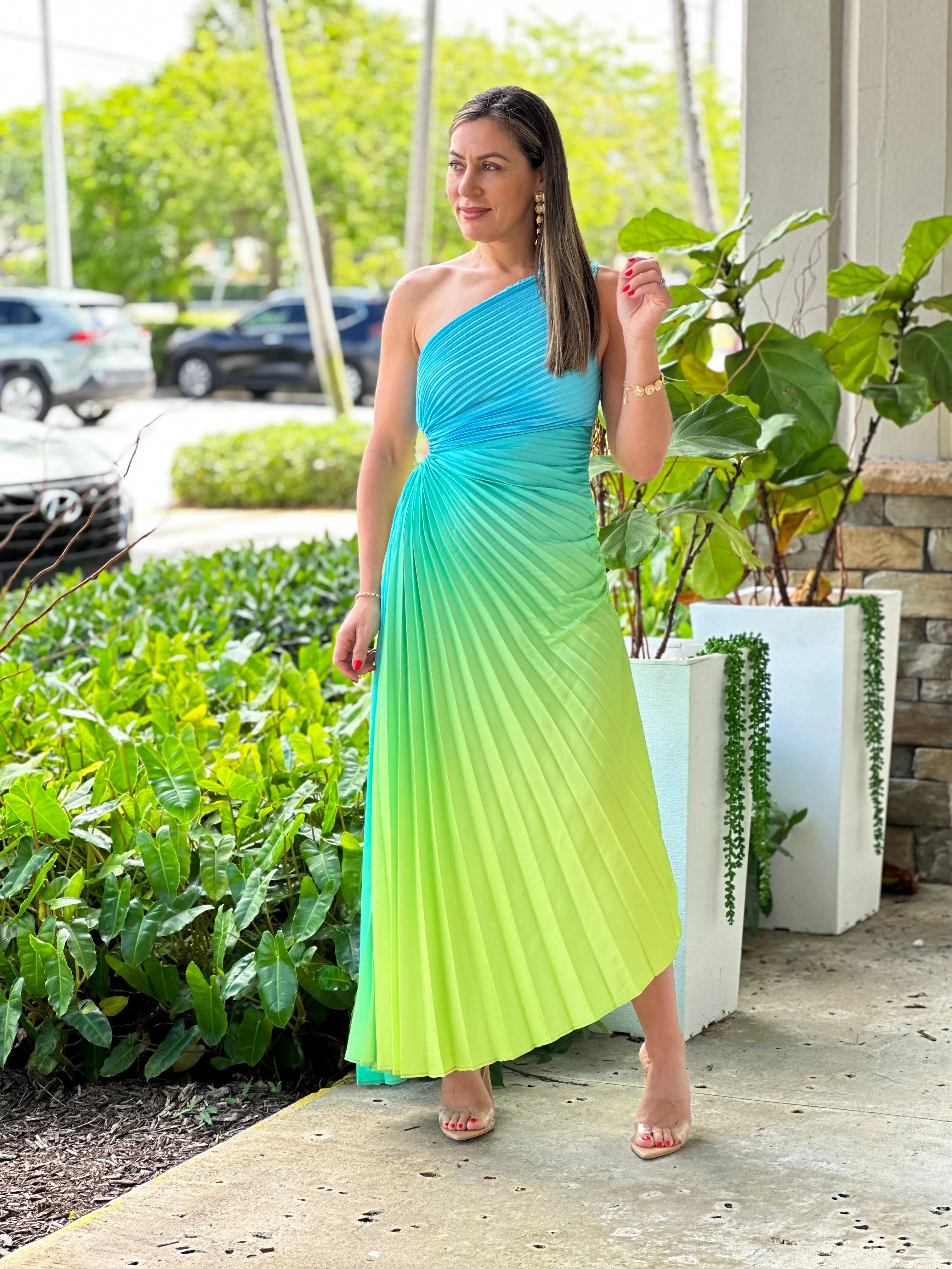 "Venice"Ombre Pleaded One Shoulder Sleeve Maxi Dress