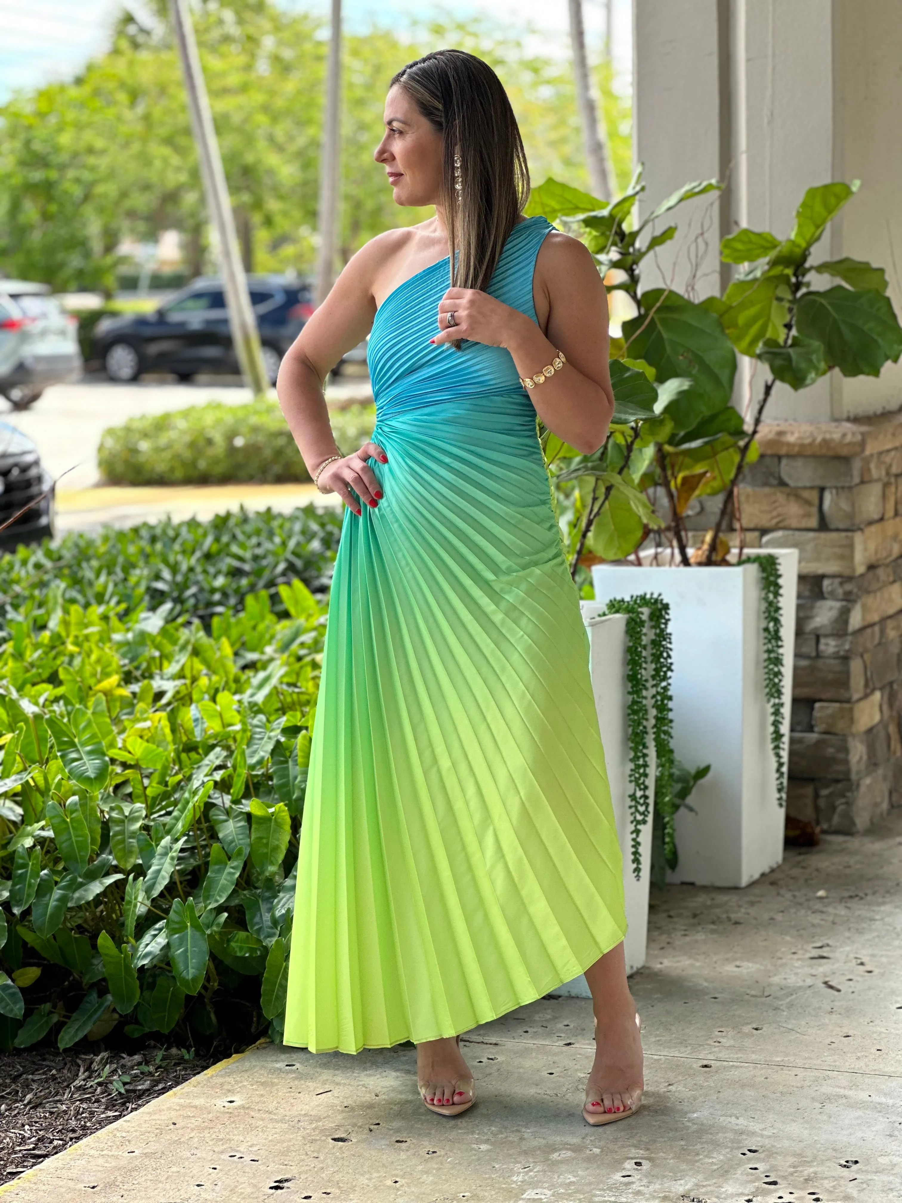 "Venice"Ombre Pleaded One Shoulder Sleeve Maxi Dress