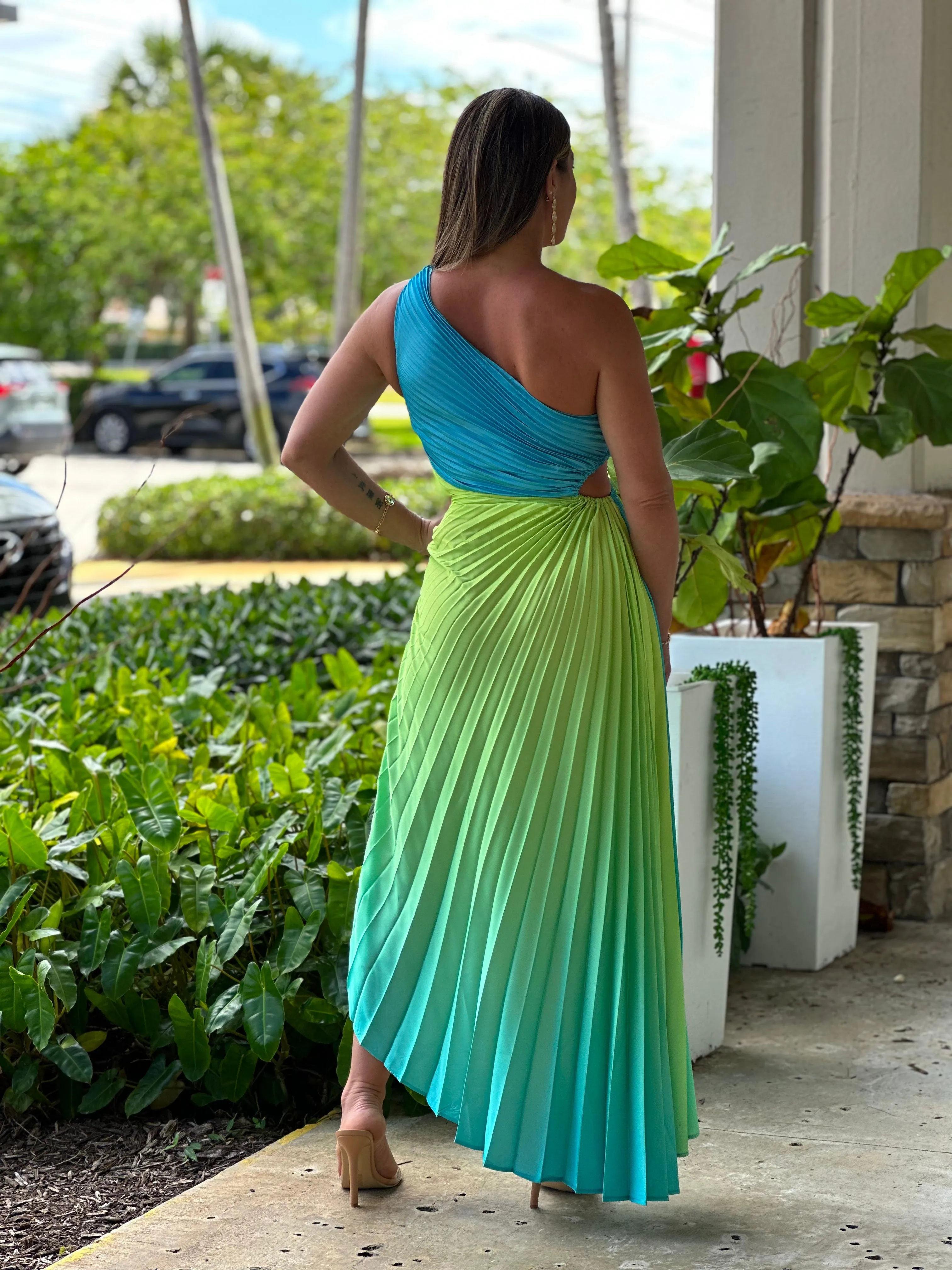 "Venice"Ombre Pleaded One Shoulder Sleeve Maxi Dress