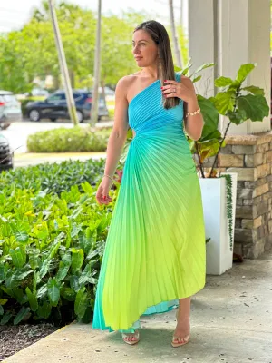 "Venice"Ombre Pleaded One Shoulder Sleeve Maxi Dress