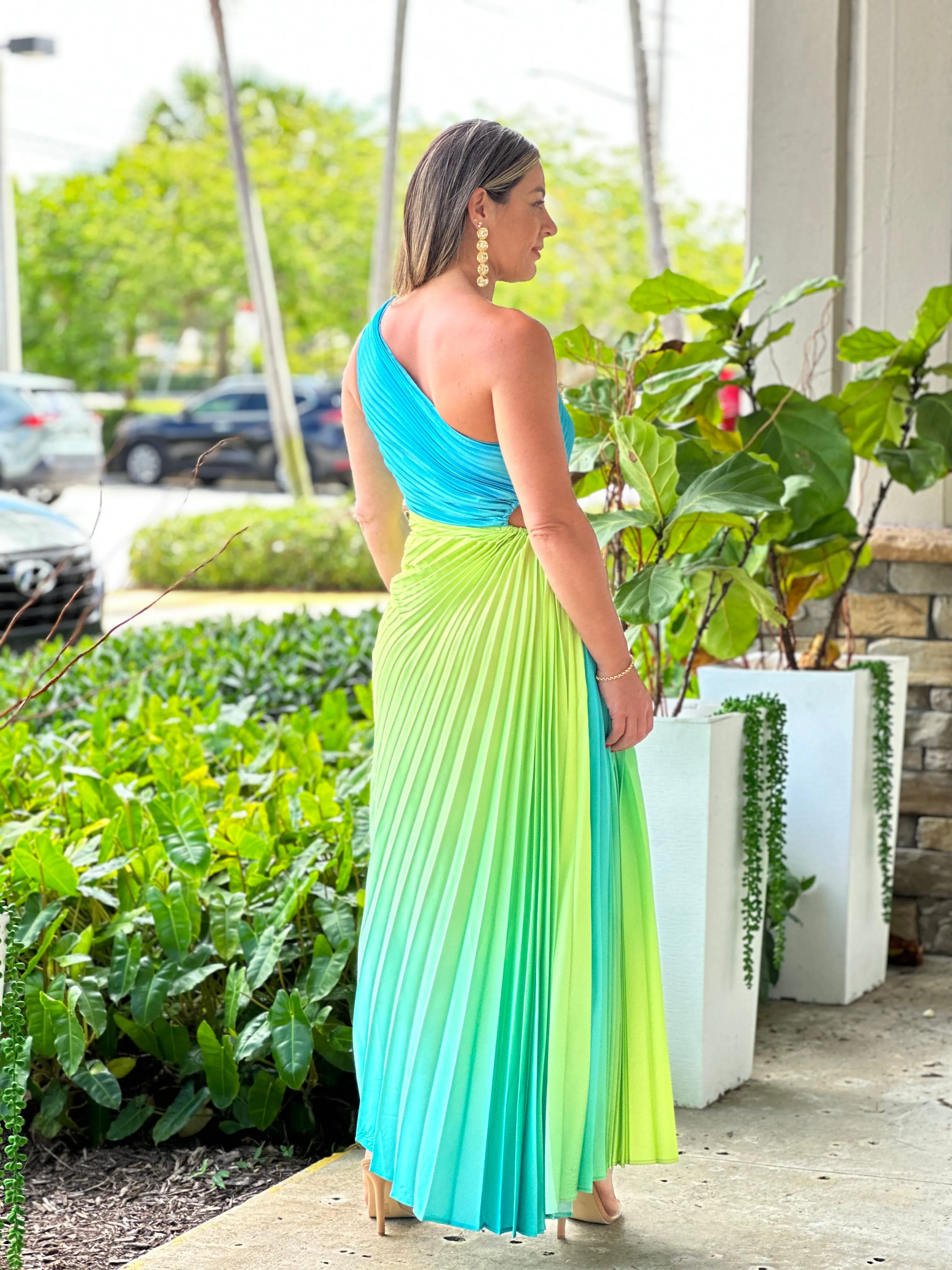"Venice"Ombre Pleaded One Shoulder Sleeve Maxi Dress