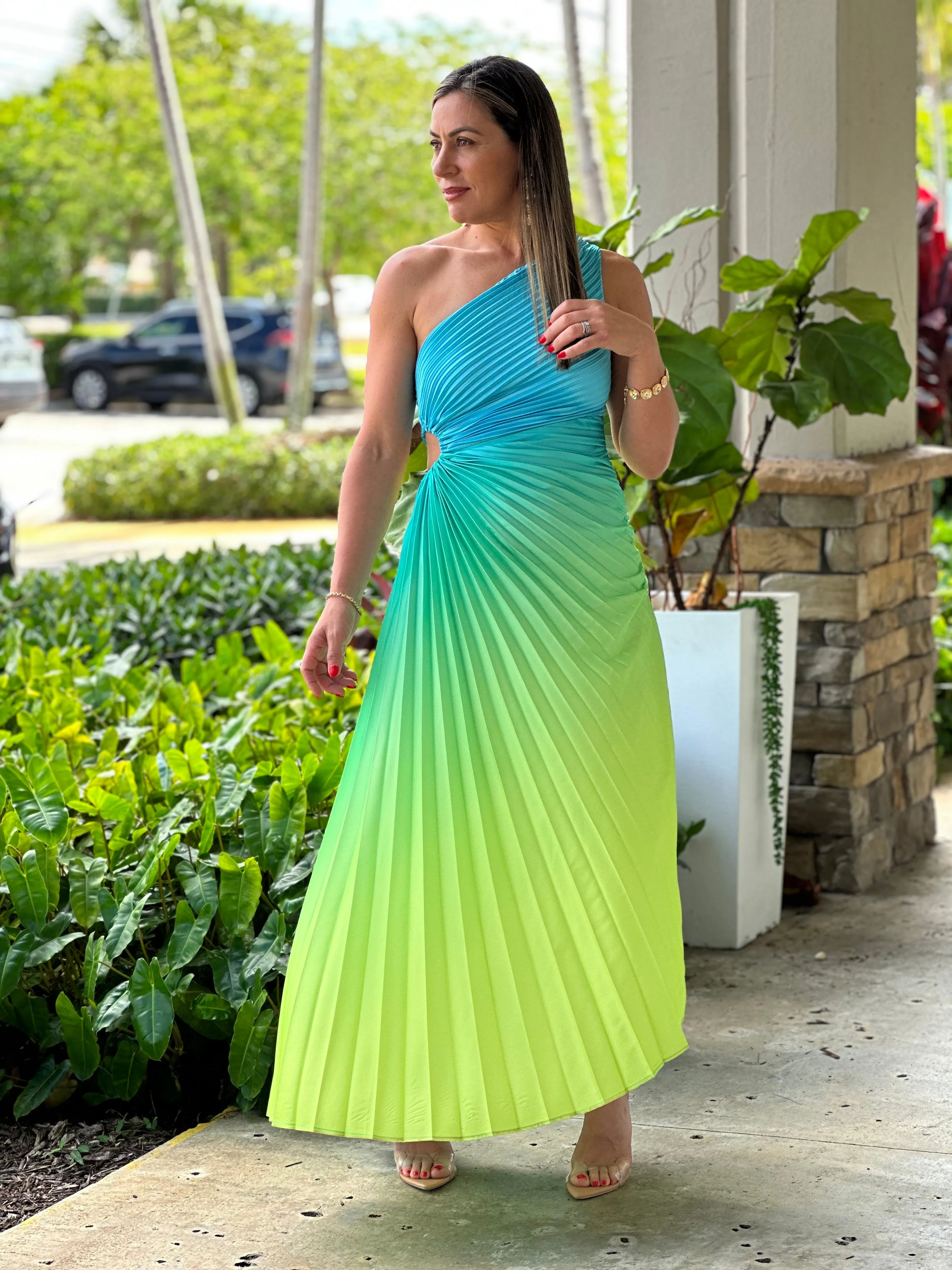"Venice"Ombre Pleaded One Shoulder Sleeve Maxi Dress