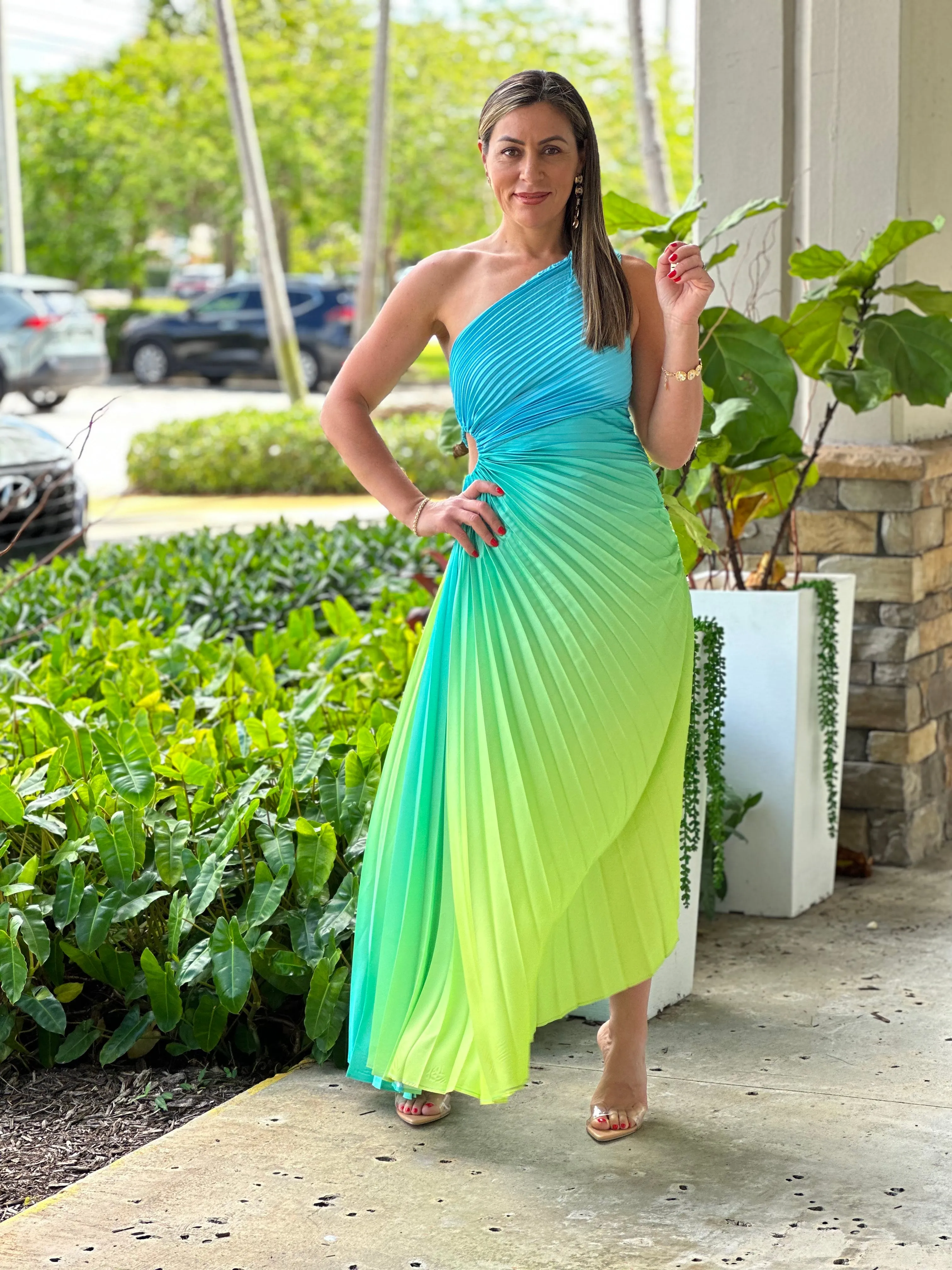 "Venice"Ombre Pleaded One Shoulder Sleeve Maxi Dress