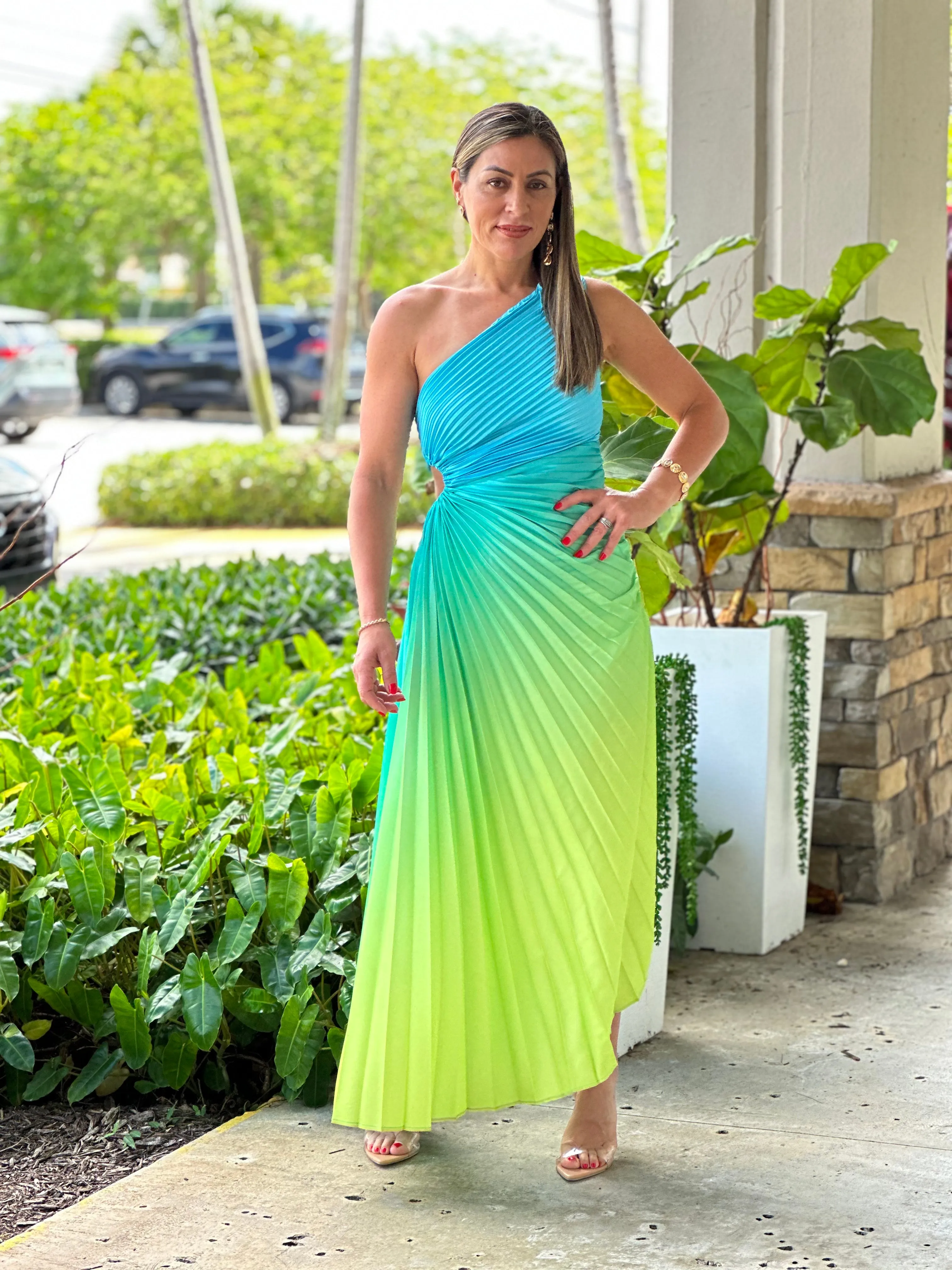 "Venice"Ombre Pleaded One Shoulder Sleeve Maxi Dress