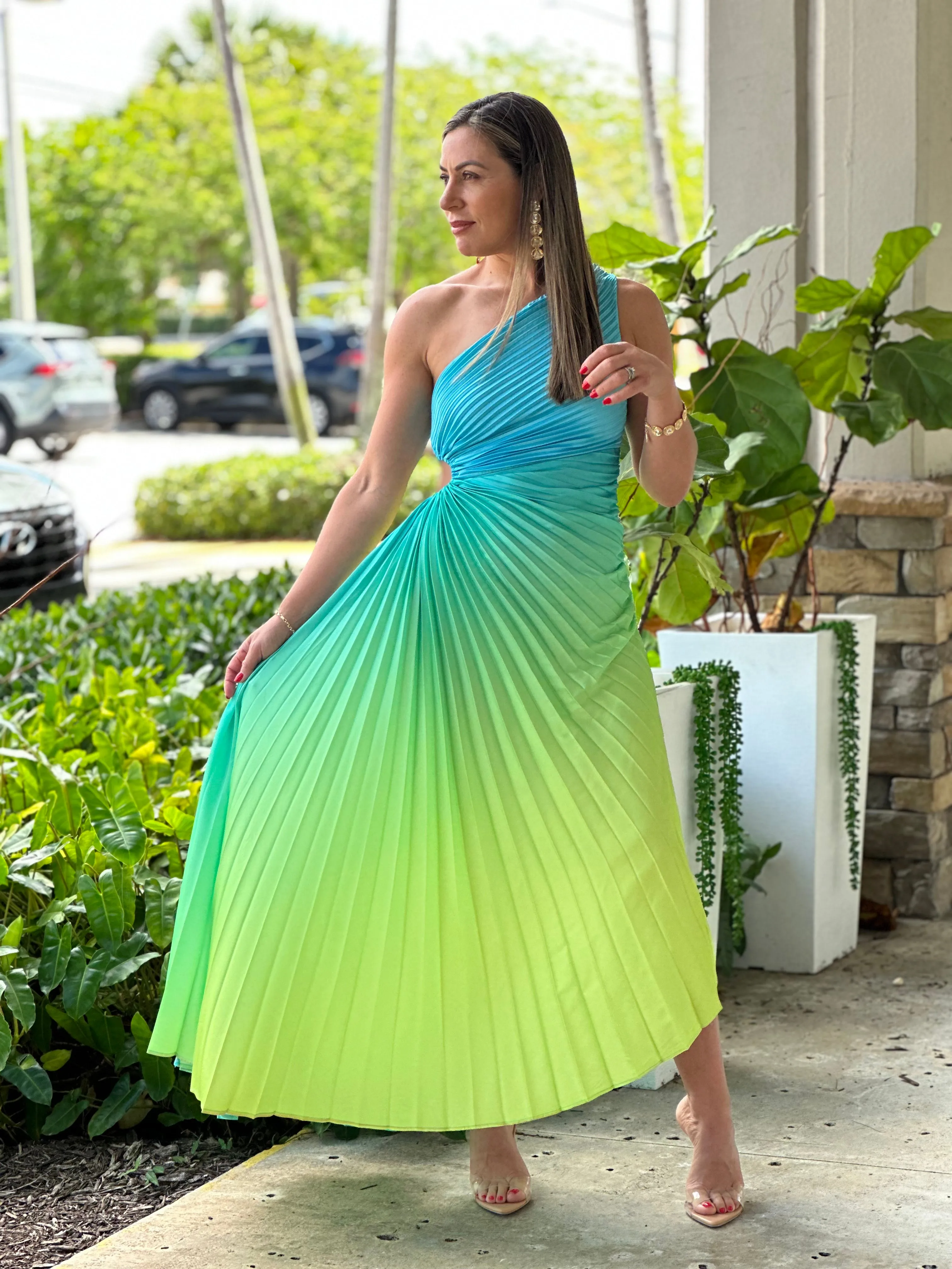 "Venice"Ombre Pleaded One Shoulder Sleeve Maxi Dress