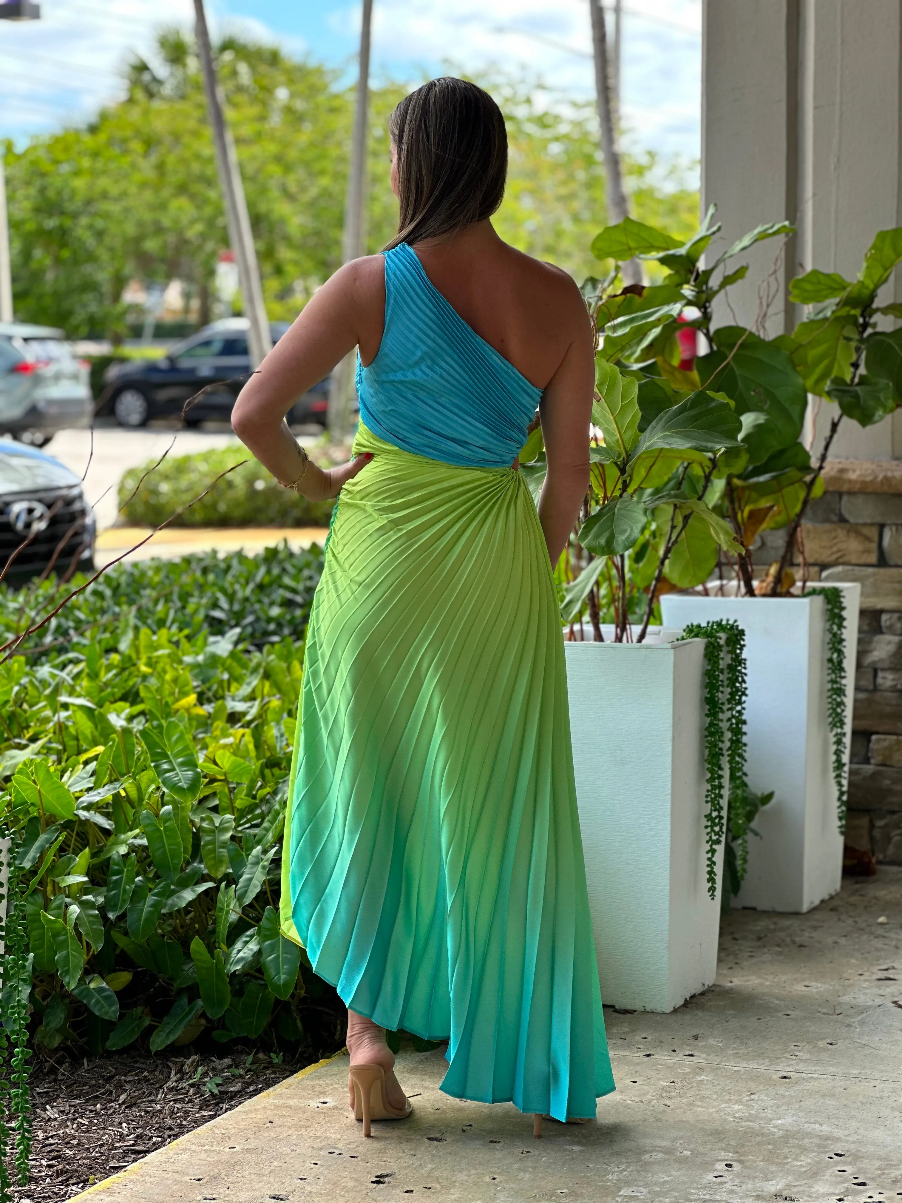 "Venice"Ombre Pleaded One Shoulder Sleeve Maxi Dress