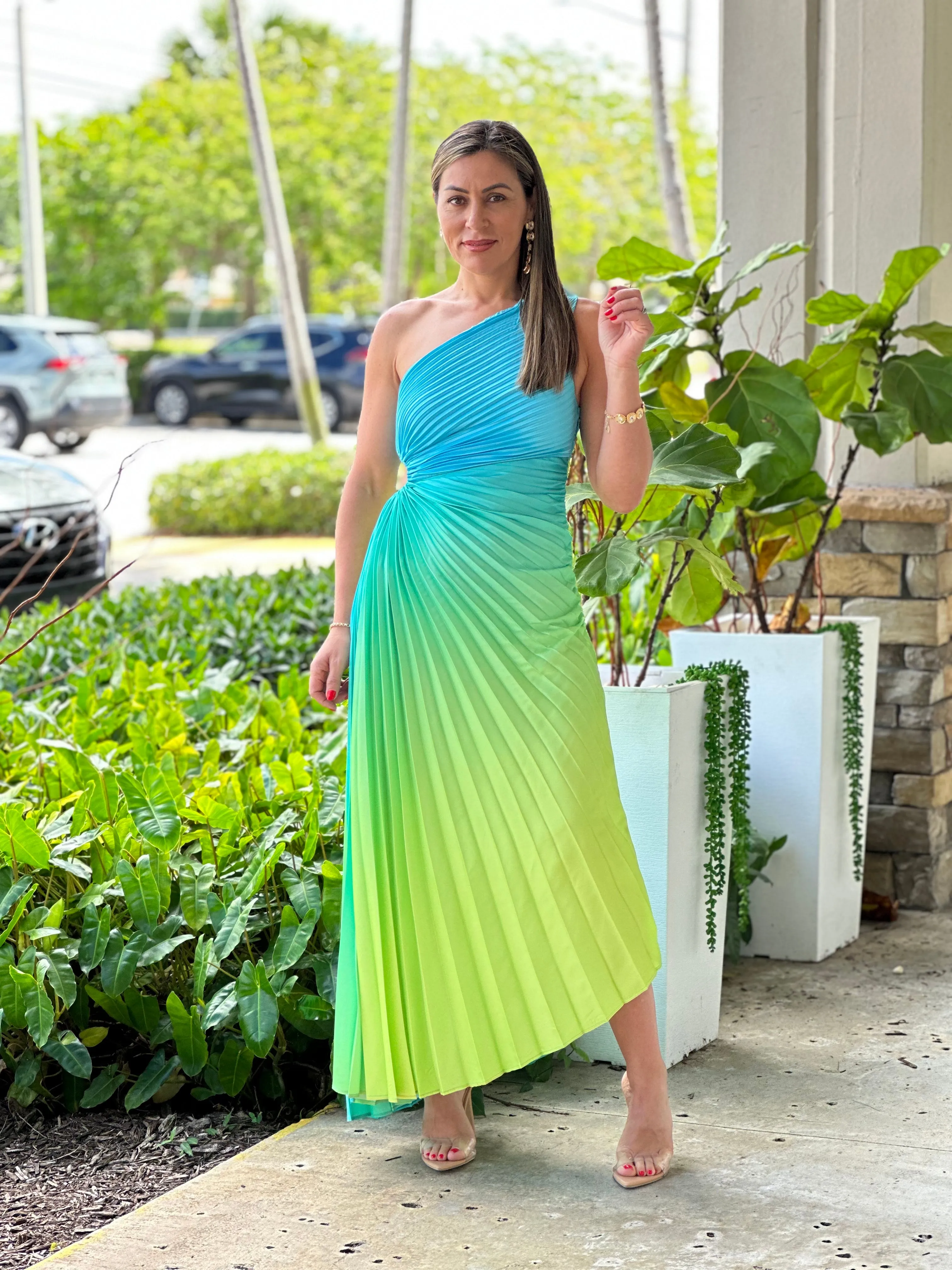 "Venice"Ombre Pleaded One Shoulder Sleeve Maxi Dress