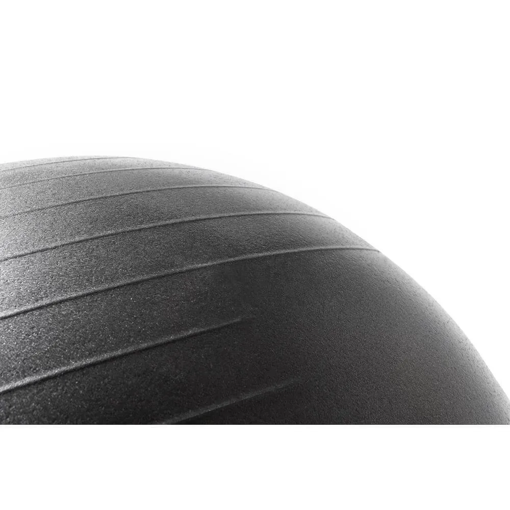 Reebok 55cm Gym Ball