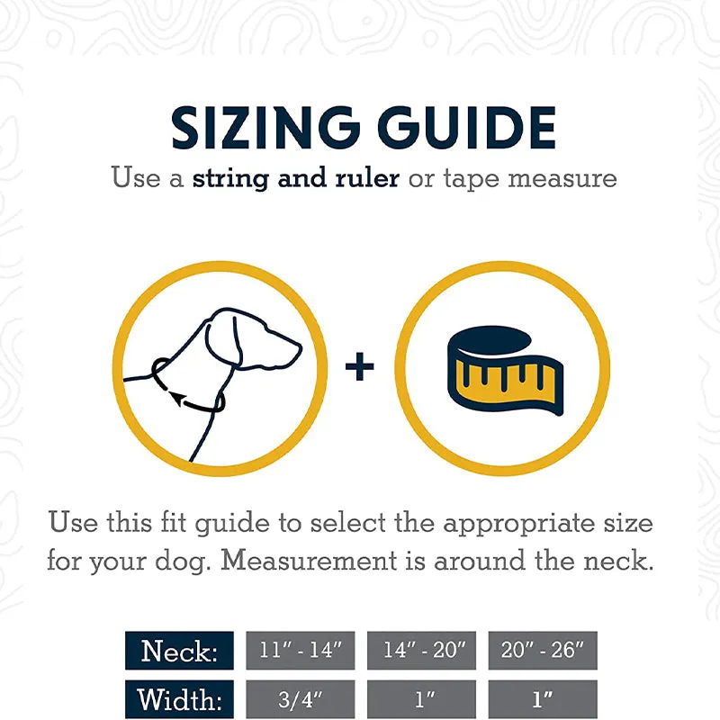 Ruffwear Hoopie Collar for Dogs