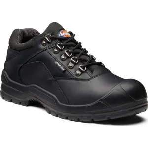 Safety Shoe Norden II Dickies / Buy Online