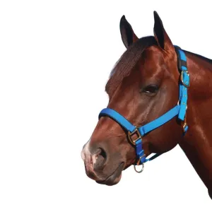 Showcraft Deluxe Transport Halter (6263)