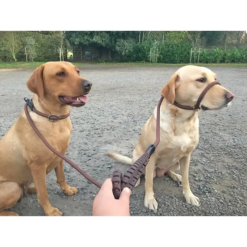 Slip Dog Lead with Figure 8 Training Aid