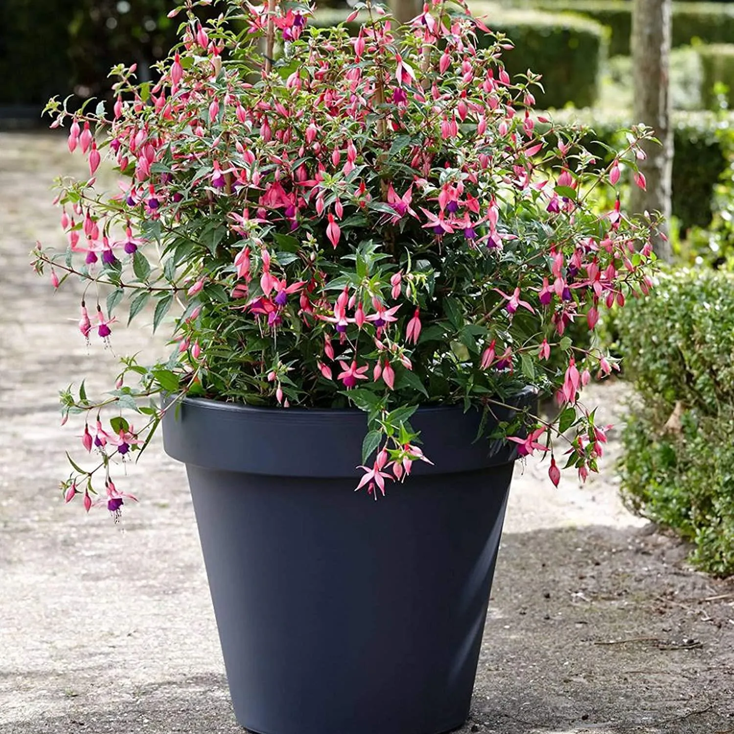 Small Round Anthracite Flower Planter 20 x 18 cm