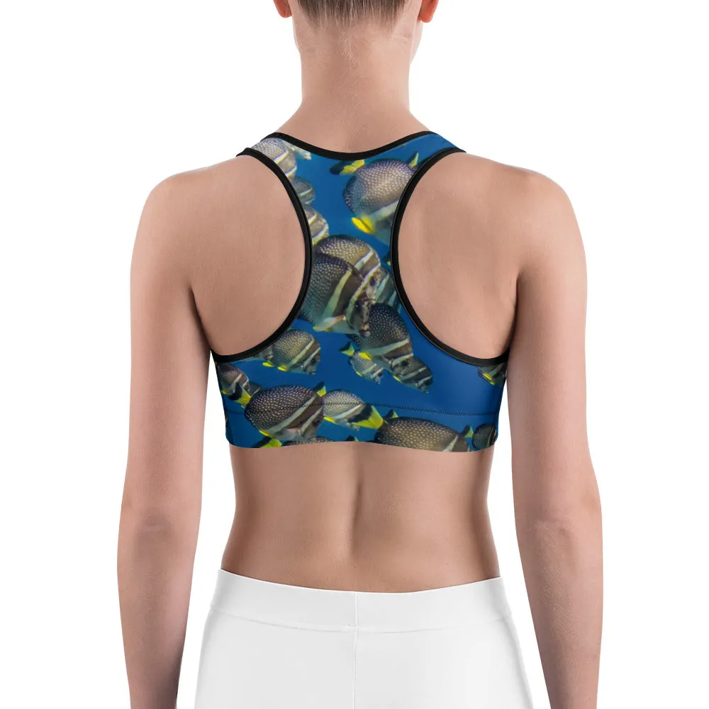 Surgeon School Sports bra