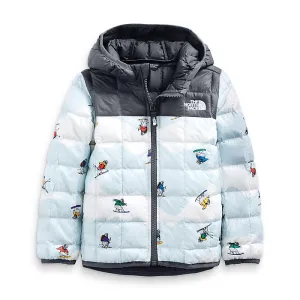 Toddlers' The North Face | Toddler Thermo Eco Hoody | Print
