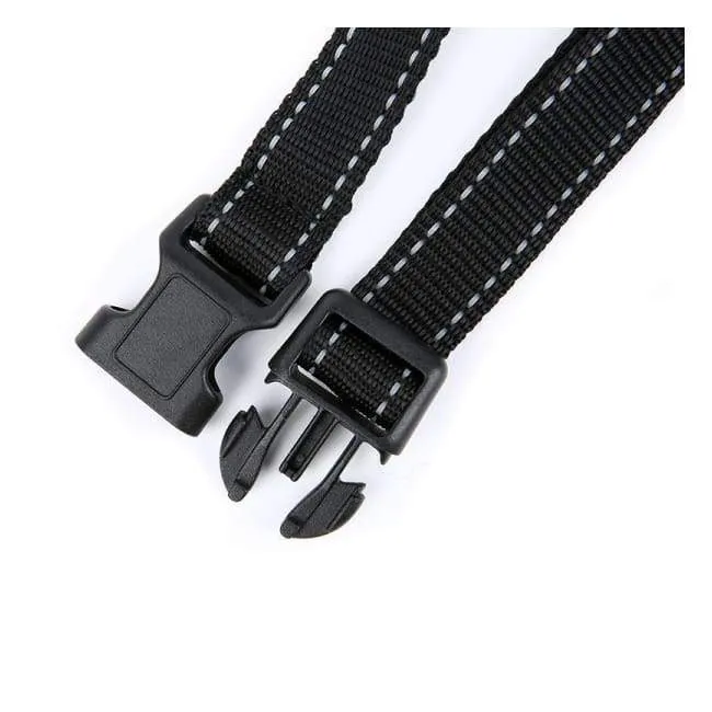 Training Collar for Your Little Barkers
