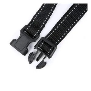 Training Collar for Your Little Barkers