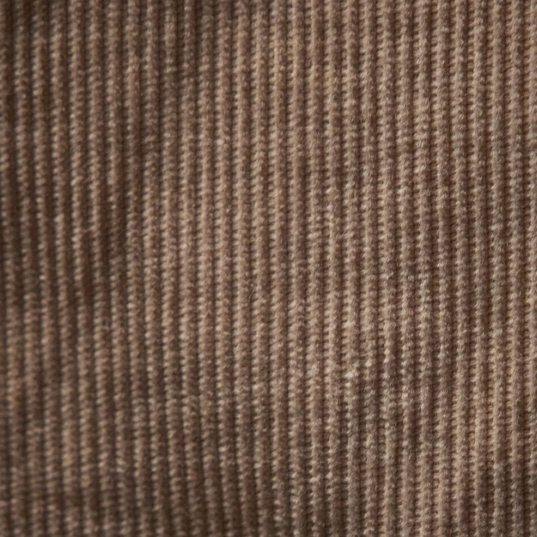 Venice Beach Cord Short - Sand Dune Pigment