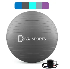 Yoga Ball (Silver)
